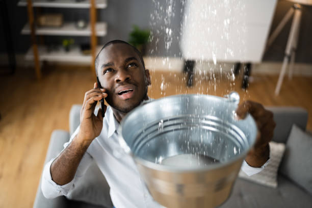 Best Sewage cleanup and water damage restoration  in Sleepy Eye, MN