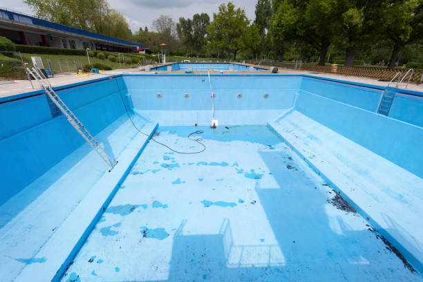 Best Flood restoration services  in Sleepy Eye, MN