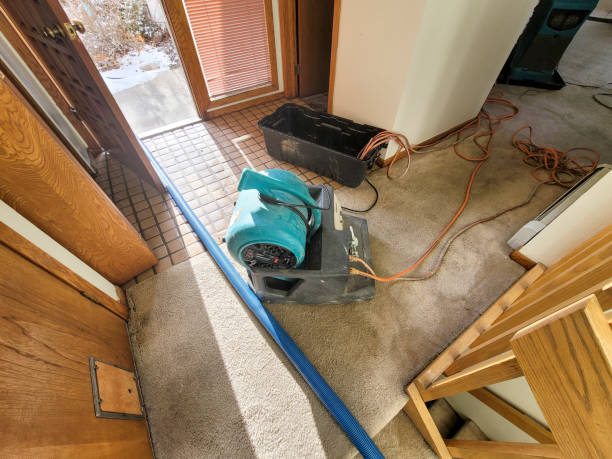 Best Water damage contractors near me  in Sleepy Eye, MN