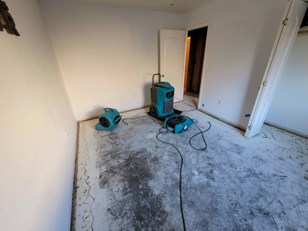 Trusted Sleepy Eye, MN Water damage restoration Experts