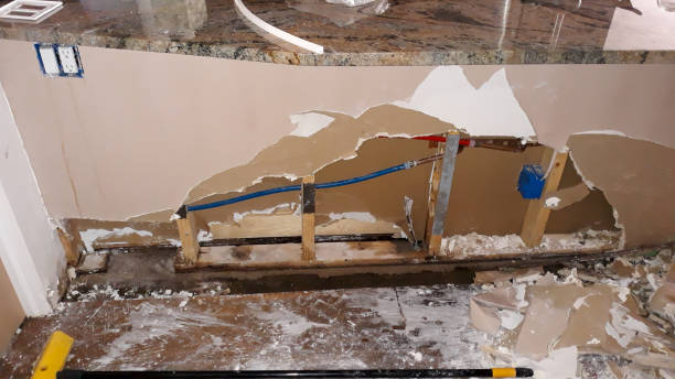 Best Professional water damage repair  in Sleepy Eye, MN