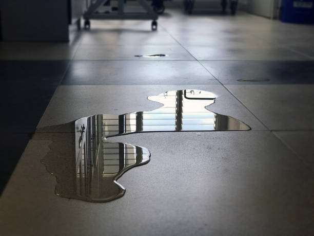 Best Water damage restoration near me  in Sleepy Eye, MN