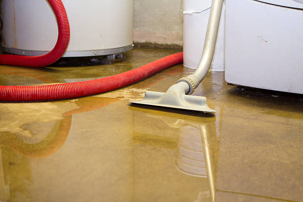 Best Emergency water damage restoration  in Sleepy Eye, MN