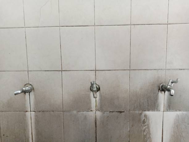Best Mold removal after water damage  in Sleepy Eye, MN