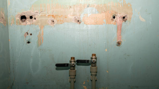 Best Fire Damage Restoration  in Sleepy Eye, MN
