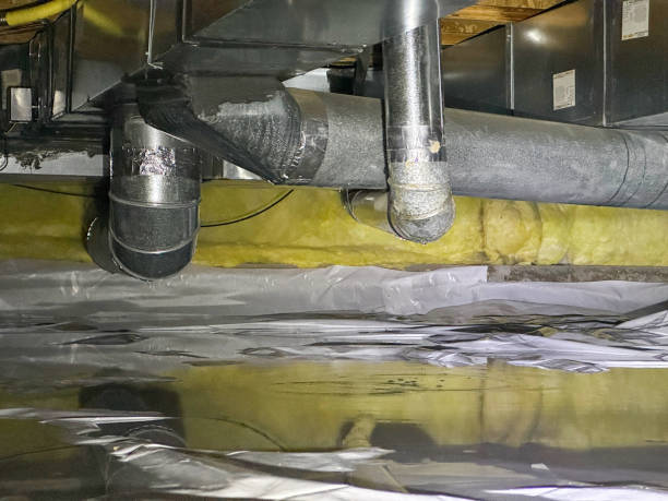Best Carpet water damage restoration  in Sleepy Eye, MN