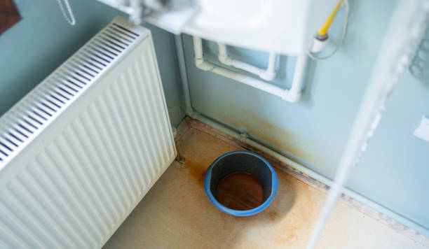 Best Emergency water damage restoration  in Sleepy Eye, MN