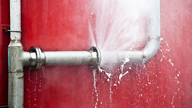 Best Emergency water damage restoration  in Sleepy Eye, MN