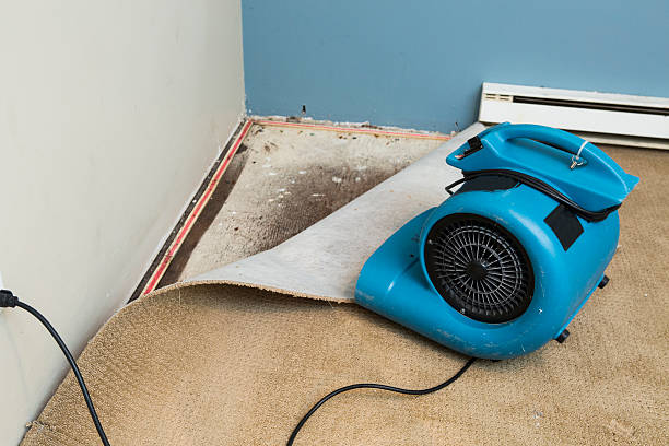 Sleepy Eye, MN Water damage restoration Company